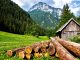 Log Home – Peste 20 de ani de experiență în domeniul construcțiilor din lemn Casa din lemn rotund