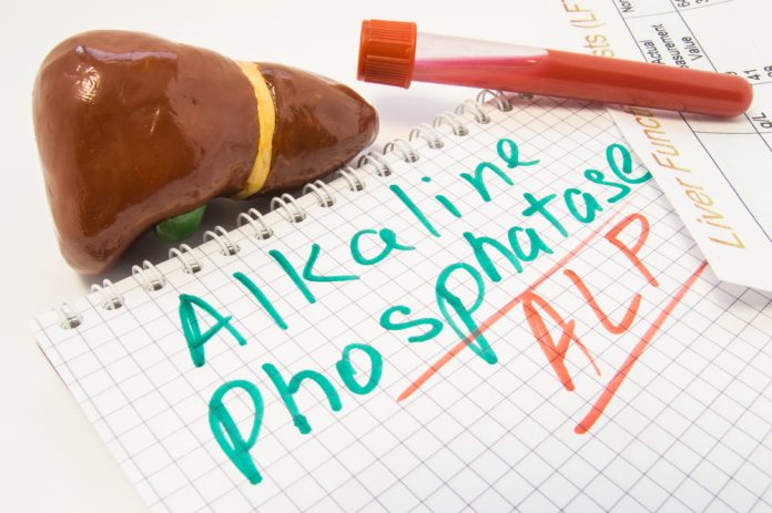 Ce este fosfataza alcalină și când se recomandă această analiză