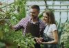 Muncă în străinătate în cuplu – ce trebuie să verificați înainte de plecare? Muncă în străinătate în cuplu – ce trebuie să verificați înainte de plecare?