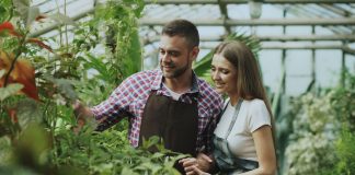 Muncă în străinătate în cuplu – ce trebuie să verificați înainte de plecare? Muncă în străinătate în cuplu – ce trebuie să verificați înainte de plecare?