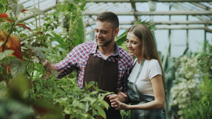 Munca in strainatate in cuplu – ce trebuie sa verificati inainte de plecare Muncă în străinătate în cuplu – ce trebuie să verificați înainte de plecare?
