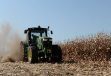 Cerealele românești, lăsate pe linie moartă, agricultorii, trimiși spre faliment Cerealele românești, lăsate pe linie moartă, agricultorii, trimiși spre faliment