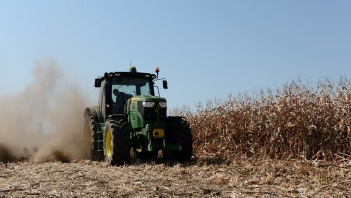 Cerealele românești, lăsate pe linie moartă, agricultorii, trimiși spre faliment Cerealele românești, lăsate pe linie moartă, agricultorii, trimiși spre faliment
